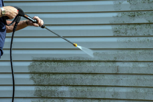 Best Exterior Home Cleaning  in West Columbia, SC