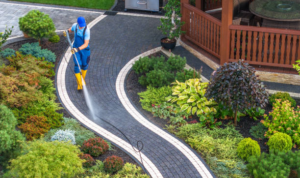 Best Best Pressure Washing Companies  in West Columbia, SC
