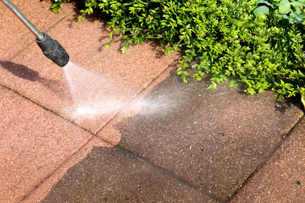  West Columbia, SC Pressure Washing Pros